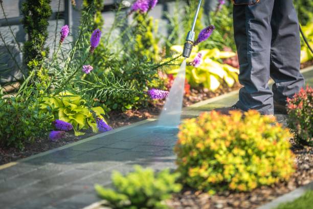 Best Residential Pressure Washing in Navarre Beach, FL